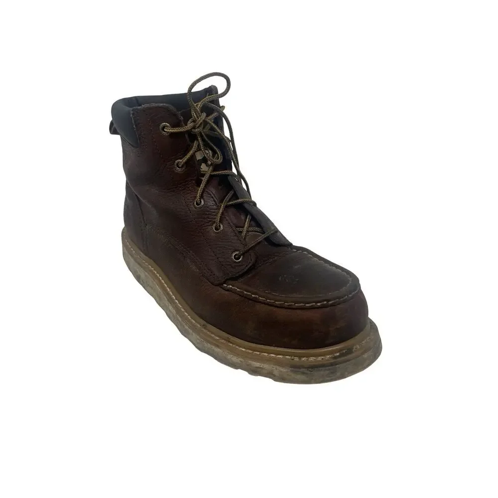 Irish Setter Ashby 6